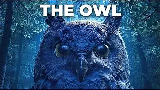Extreme Arctic Owl Simulator: Surviving the Deadliest Polar Night Hunt!