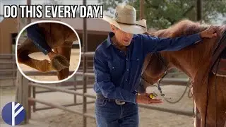 Correctly Picking Up Your Horse's Feet - Daily Horse Wisdom with Craig Cameron