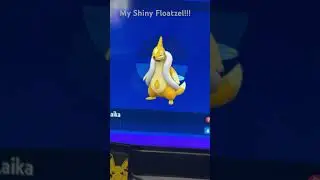 Laika the shiny Floatzel #pokemon #pokemonshinyfloatzel