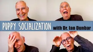Puppy Socialization with Dr. Ian Dunbar