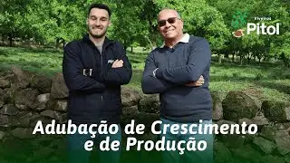 #POMARPECÃ | ADUBAÇÃO de crescimento e produção da NOGUEIRA-PECÃ
