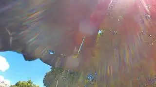 Cebu Trail Rider - Pamutan backdoor trail ( mtb 2025 )
