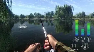 Fishing Planet Romania Ep.67, La pescuit pe Weeping Willow, LIVE!