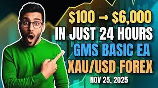 $100 Turned $6,000 in 24 Hours | GMS Basic EA Gold Scalping Strategy (XAUUSD Forex Trading Results)