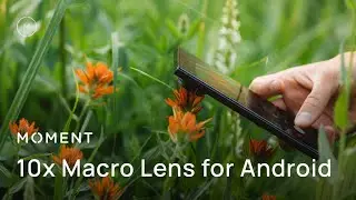 Объектив Moment Mobile Macro 10x (Руководство по началу работы с Android)