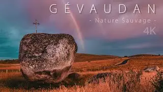 [LOZÈRE] Une nuit d'été sous les étoiles  - Time-Lapse 4K