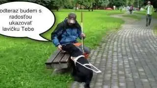 Imrova cesta