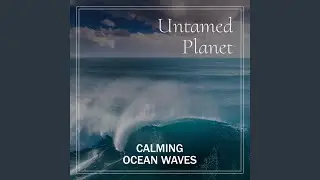 Gentle Waves Lapping