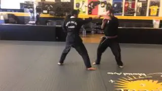 Partner Fighting Forms
