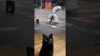 Dancing pipe #cat #shorts