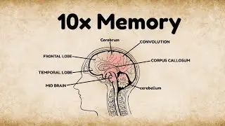 🧠 Improve Memory Power for Students | Study Faster & Remember More