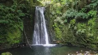 Relaxing Nature Loop: Rain, Waterfalls, Green Scenery & Sunset [No Sound] 4K HD