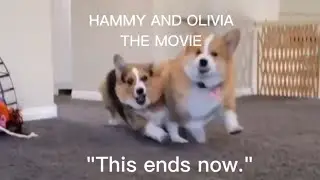 Hammy & Olivia: The Movie