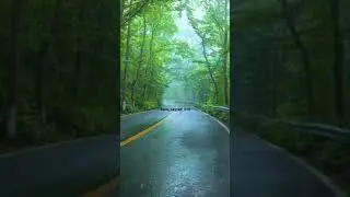#SHORT ll  #rain ll deep forest