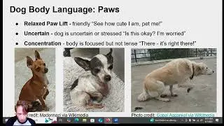 Part 5  How to Speak Dog