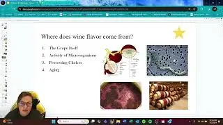 Lecture 2: Basics and Viticulture