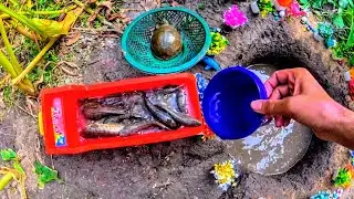 Many Fish And One Turtle Were Caught from A Small Pond And Loaded Onto a Truck 🚚