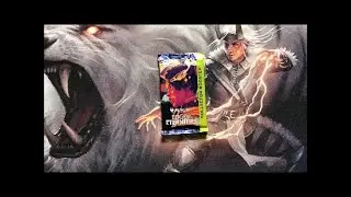 Magic the Gathering - Edge of Eternities Collector Booster - 04