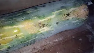 Лунга Пиена Ди Наполи.