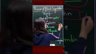 Process of Blood Coagulation | #exam #shorts