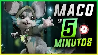 MACO ya est&aacute; en PREDECESSOR | GU&Iacute;A en 5 Minutos