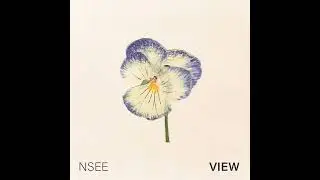 Nsee - Frozen Lake (Artlist)