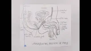 Monica monu channel# project diagrams#subscribe for more videos.