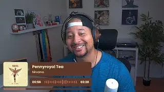 Nirvana- Pennyroyal Tea REACTION AND REVIEW