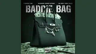 Baddie Bag (feat. Tommie & Summer None Other)