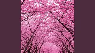 Spring Pop