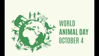 World Animal Welfare Day