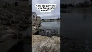 The BEST SOUND in the WORLD!!! While Snagging Fish!