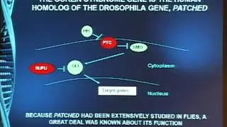 Genetic and Genomic Approach to Deciphering Skin Cancer