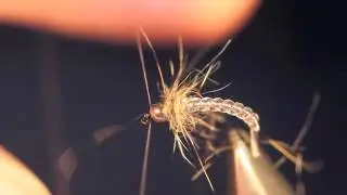 Magic Glass v-rib nymphs.m4v