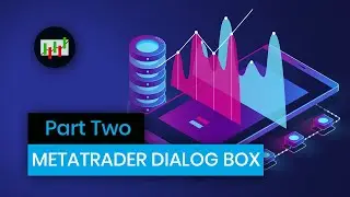 MetaTrader Dialogs Part Two | Trading Education Series Tim Black #24 | Trading Strategy Guides