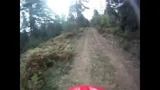Dia de Seteros