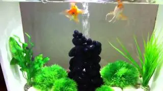 Biorb life 30 white