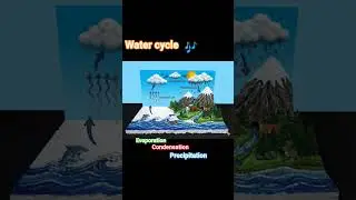 water cycle project. #Montage #montagem #water #watercycle #study #padhaai #education #sonic #sega