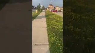 9 PM @ Evening walk in Canada