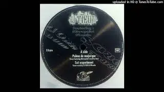 DJ Tieum ft. Micropoint - Palma De Majorque