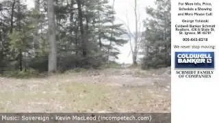 2956 W Little Cut Lane, Moran, MI Presented by George Yshinski.