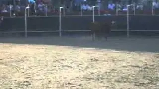 Jdye! Jajaja!