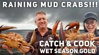 RAINING MUD CRABS You won't BELIEVE how many we caught! Catch & Cook Wet Season Haul 4K  Ep67