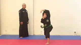 jurus baku pagar nusa SMA B