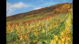 Herbst in Weinfranken