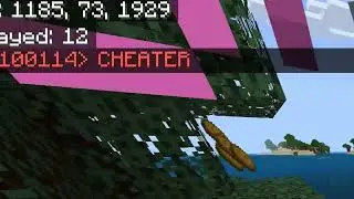 We made this kid freakout after killing him once. Minecraft SMP