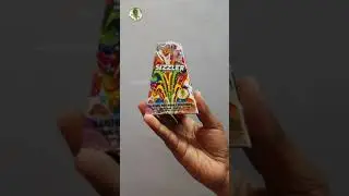 Sizzler / Sri Krishna #Fireworks #Sivakasi #shorts