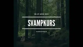 Svampkurs