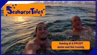 Seahorse Tales with Kara Cassidy