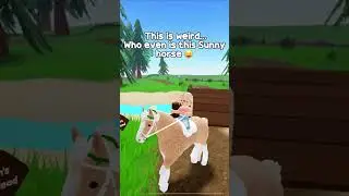 Wild horse islands mini movie! 😢 🐴 Hope you enjoy! &hearts;️ | Aura & Pearl | #wildhorseislands #roblox